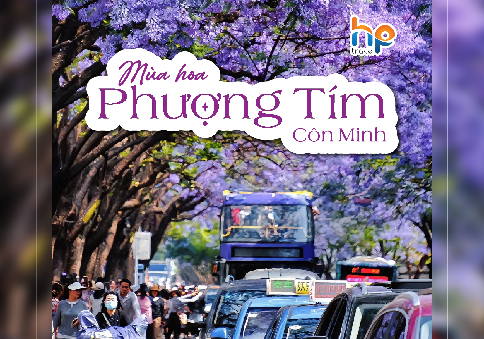 CÔN MINH - MÙA HOA PHƯỢNG TÍM